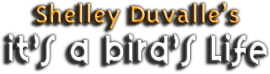 It's A Bird's Life (3DO) Play Online